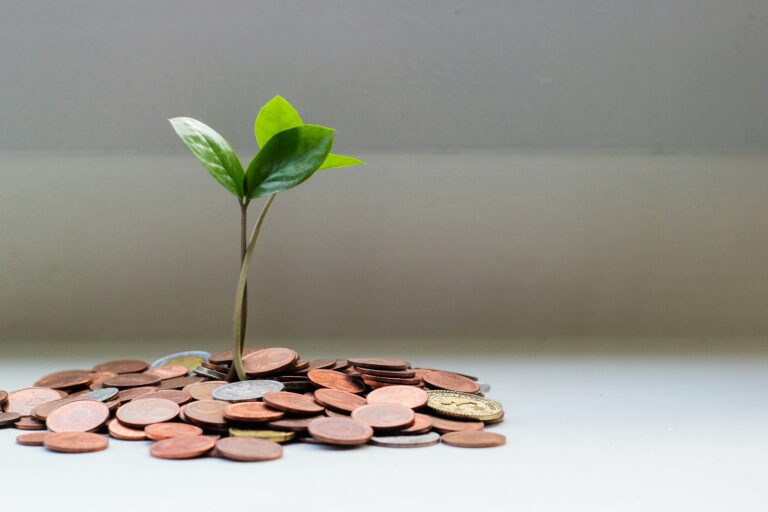 Como Obter Financiamento para sua Franquia: Guia Completo